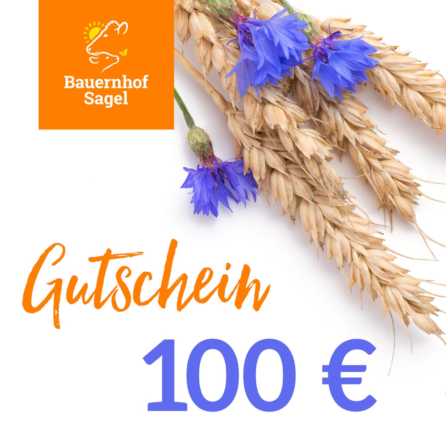 ONLINE-Geschenkgutschein 25€ / 50€ / 100€