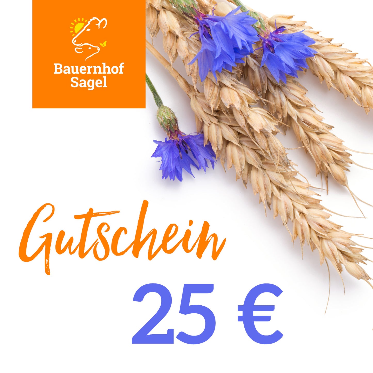 ONLINE-Geschenkgutschein 25€ / 50€ / 100€