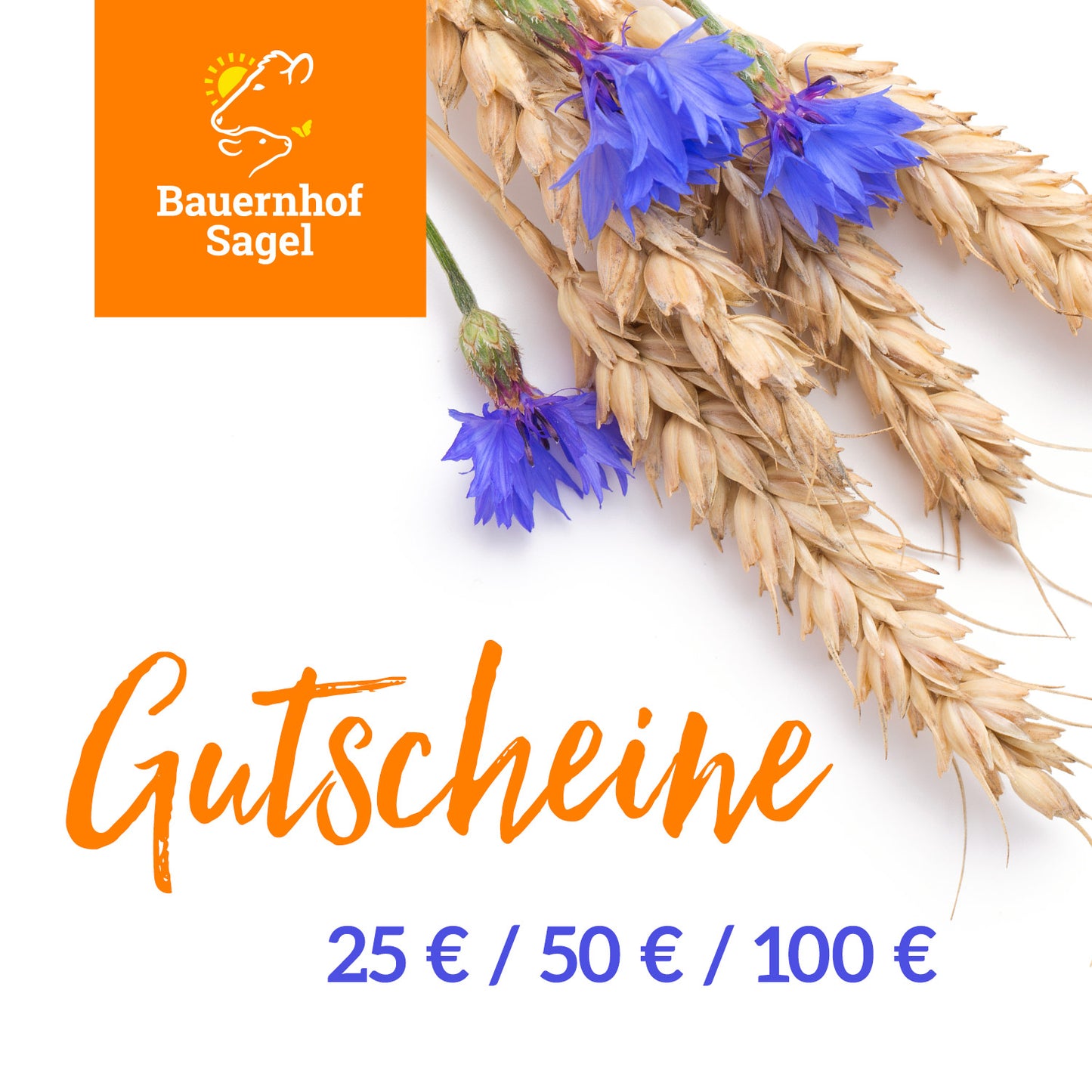ONLINE-Geschenkgutschein 25€ / 50€ / 100€