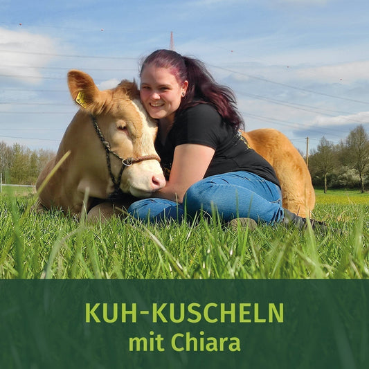 August Kuhkuscheln mit Chiara 03.08.2024 / 13-15:00 Uhr