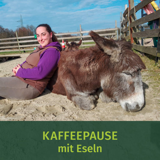Kaffeepause mit Esel + Eselkuscheln 14.06.2026 / 15:30-17:30 Uhr