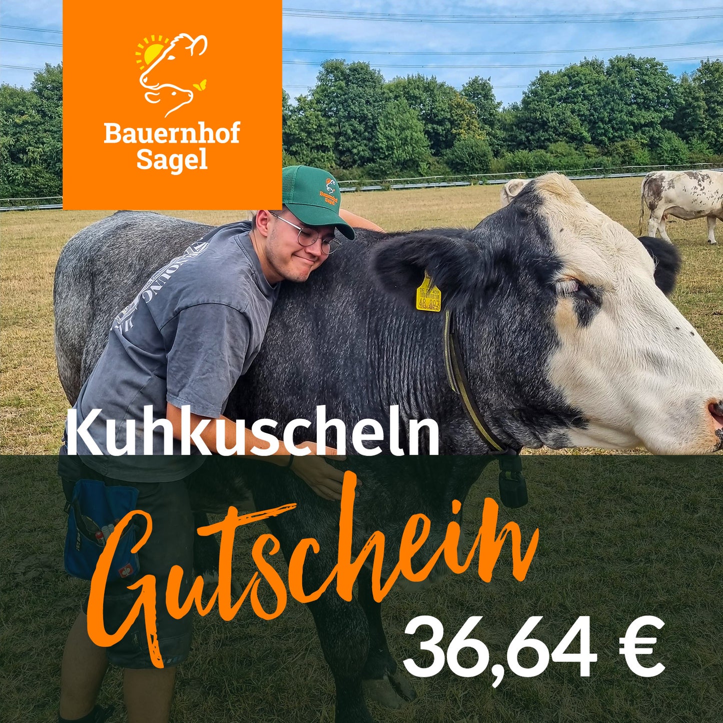 ONLINE-Gutschein fürs Kuhkuscheln
